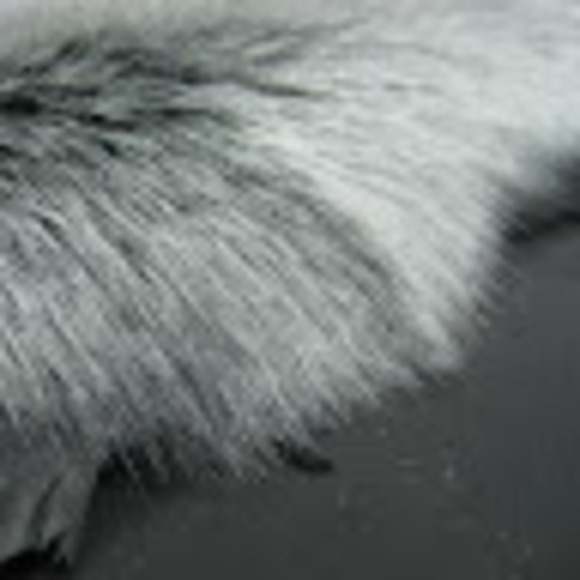 Profile Picture of Furseat Furseat (@furseat) on Poshmark