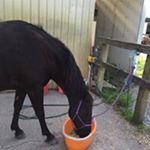 Profile Picture of Val Sharp (@val.sharp.9) on Instagram