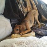 Profile Picture of Amanda Oats (@catlover232411) on Instagram