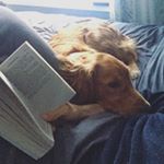 Profile Picture of Marc-Andre Lussier (@obie_and_me) on Instagram