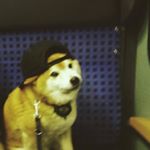 Profile Picture of Cassandra Huynh (@chuxnh) on Instagram