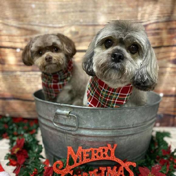 Profile Picture of Brad Buttrum (@bebuttrum) on Poshmark