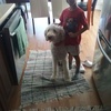 Profile Picture of Chad Almon (@chadalmon) on Tiktok