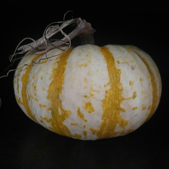 Jessica Bosma - Poshmark Profile Picture of Jessica Bosma (@jboz2004) on Poshmark