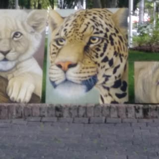 Profile Picture of Eugene Manzo (@manzoeugene) on Instagram