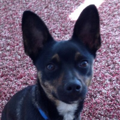 Profile Picture of Stephen Chien (@stephenchien) on Twitter
