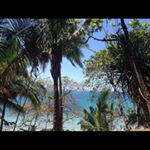 Profile Picture of Rachel Downs (@writinglife65) on Instagram