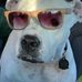 Profile Picture of Brian Berger (@brian.berger.9847) on Facebook