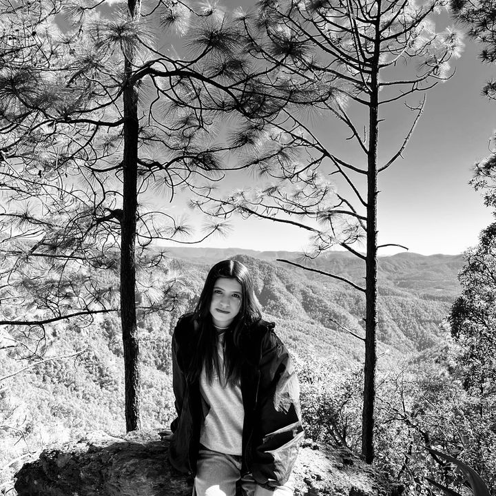 Profile Picture of Amalia Velarde (@amalia_velarde) on Tiktok