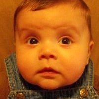 Profile Picture of Lori Free (@lfree5) on Pinterest