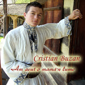 Profile Picture of Cristian Buzan (@cristianbuzan1058) on Youtube