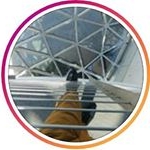 Profile Picture of Daniel Combs (@ifw.combs) on Instagram