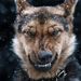 Profile Picture of Ephraim Walker (@ephraim0305) on Pinterest