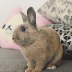 Profile Picture of Jim Hoppert (@jim_hoppert) on Instagram