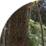 Profile Picture of Brian Wease (@brian.wease) on Instagram