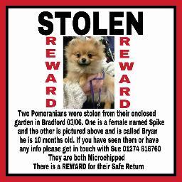 Profile Picture of FIND SPIKE AND BRYAN (@SpikeandBryan) on Twitter