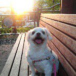 Profile Picture of Hyunhee Choi (@chhee_66) on Instagram