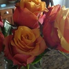 Profile Picture of Paul Blakeman (@31035520341) on Tiktok