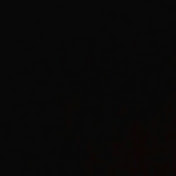 Profile Picture of Allison Fowler (@allisonfowler495) on Youtube