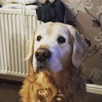 Profile Picture of •James Bowling• ツ (@__.jamesbowling.__) on Instagram