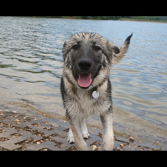 Profile Picture of Nicholas Lee (@sandlot23) on Poshmark