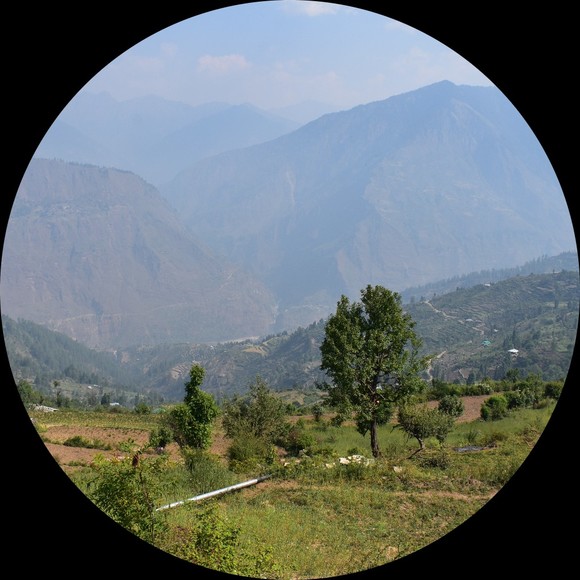 Profile Picture of Emma Wrigley (@emmawrigley) on Poshmark