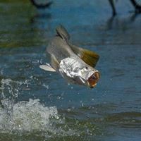 Profile Picture of Barry Barra (@barry-barra-1) on Quora