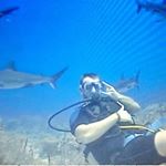 Profile Picture of Mike Magda (@mikemagda) on Instagram