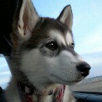 Profile Picture of nathan_stacey (@nathan_stacey) on Instagram