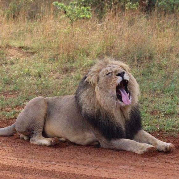 Profile Picture of Greg Wagner (@1smooveg) on Poshmark