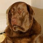 Profile Picture of Eva Osusky (@evaosusky) on Instagram