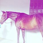 Jade Bender - Instagram Profile Picture of Jade Bender (@jadebender391) on Instagram