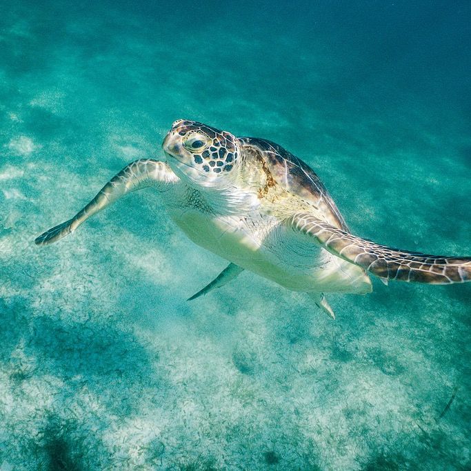 Profile Picture of josephinewatts6 (@josephine.watts13) on Tiktok