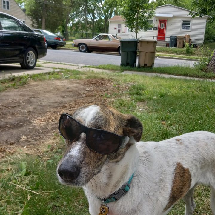 Profile Picture of bri in mad town (@brianstroup25) on Tiktok