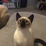 Profile Picture of pascal enel (@pascalenel) on Instagram