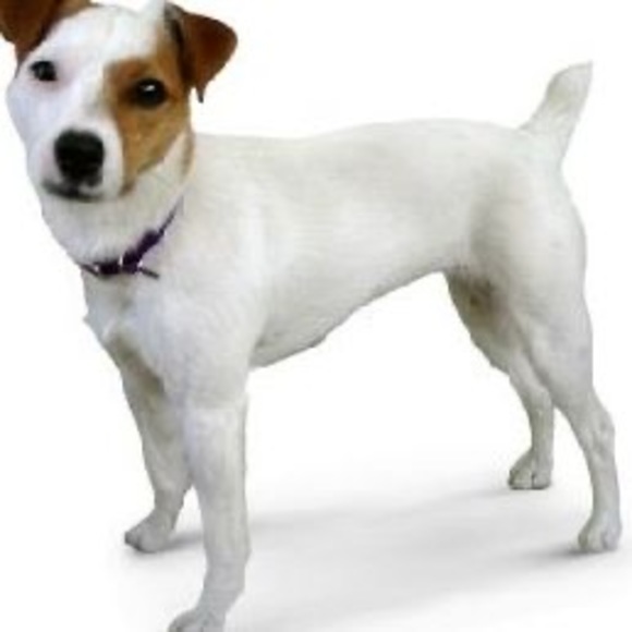 Profile Picture of Kim Stello (@kimgo73) on Poshmark