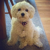 Profile Picture of Debbie Fritz (@debbiefritz3067) on Youtube