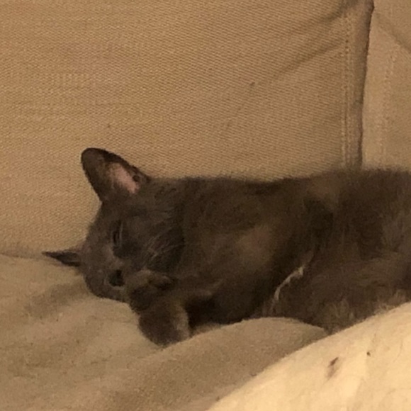 Profile Picture of Jill Bruvold (@jerbruvold) on Poshmark