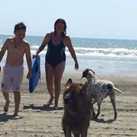 Profile Picture of Nikki Bateman (@nikki-bateman) on Quora