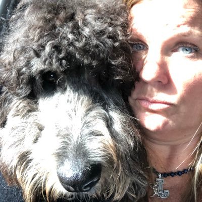 Profile Picture of Heather Dougherty (@HDwith3) on Twitter