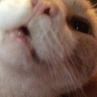 Katelyn Burkhart - Quora Profile Picture of Katelyn Burkhart (@katelyn-burkhart-1) on Quora