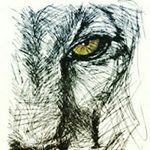 Profile Picture of Michael melaku (@micheal_melaku) on Instagram