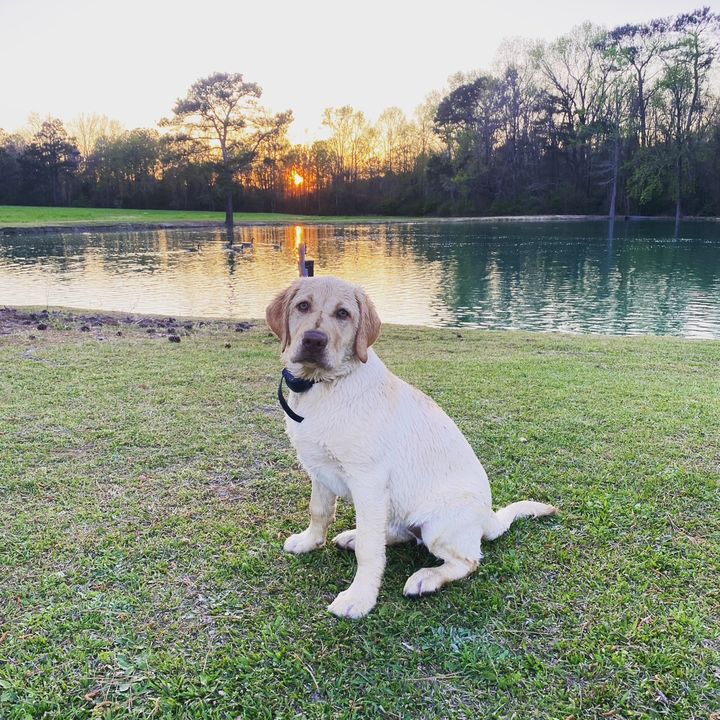 Profile Picture of Cole Thomas (@@colethomas064) on Tiktok