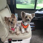 Profile Picture of Debbie Keener Kroon (@docsltd27) on Instagram