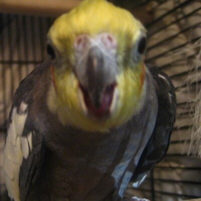 Profile Picture of Jason Mattia (@jason_mattia) on Twitter