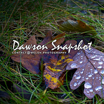 Profile Picture of David Dawson (@dawsonsnapshots) on Flickr