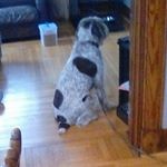 Profile Picture of Ava Solomon (@agirlcalledava) on Instagram