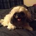 Profile Picture of Matthew quintanilla (@wwwmatthewquintanilla2461) on Pinterest