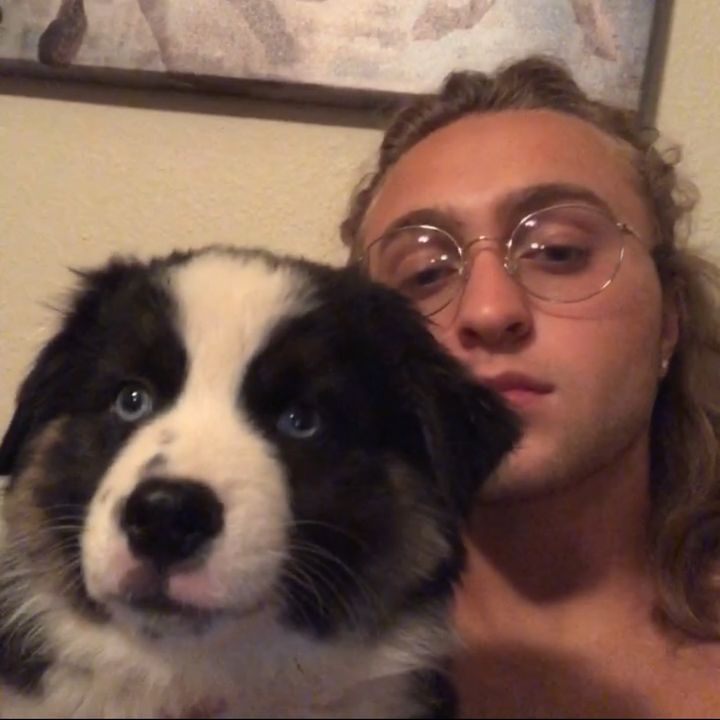 Profile Picture of Dustin Cook (@dustin_cook) on Tiktok