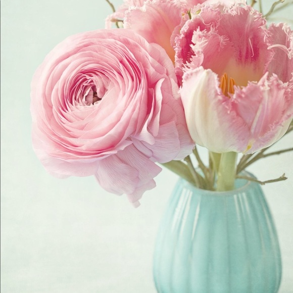 Profile Picture of Tammy Chaney (@tammylchaney) on Poshmark